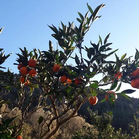 Hébergement de vacances Casa Ermita